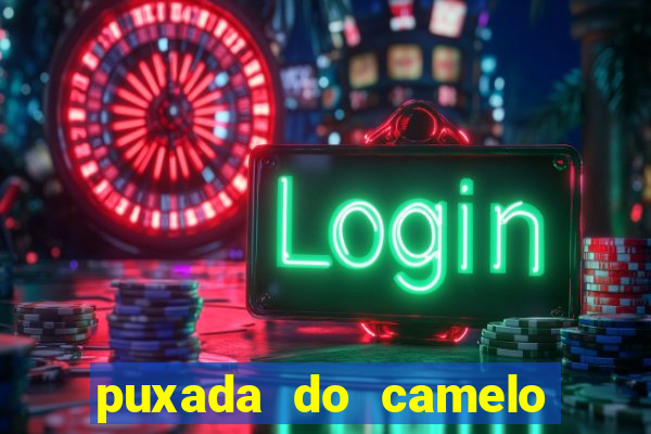 puxada do camelo jogo do bicho